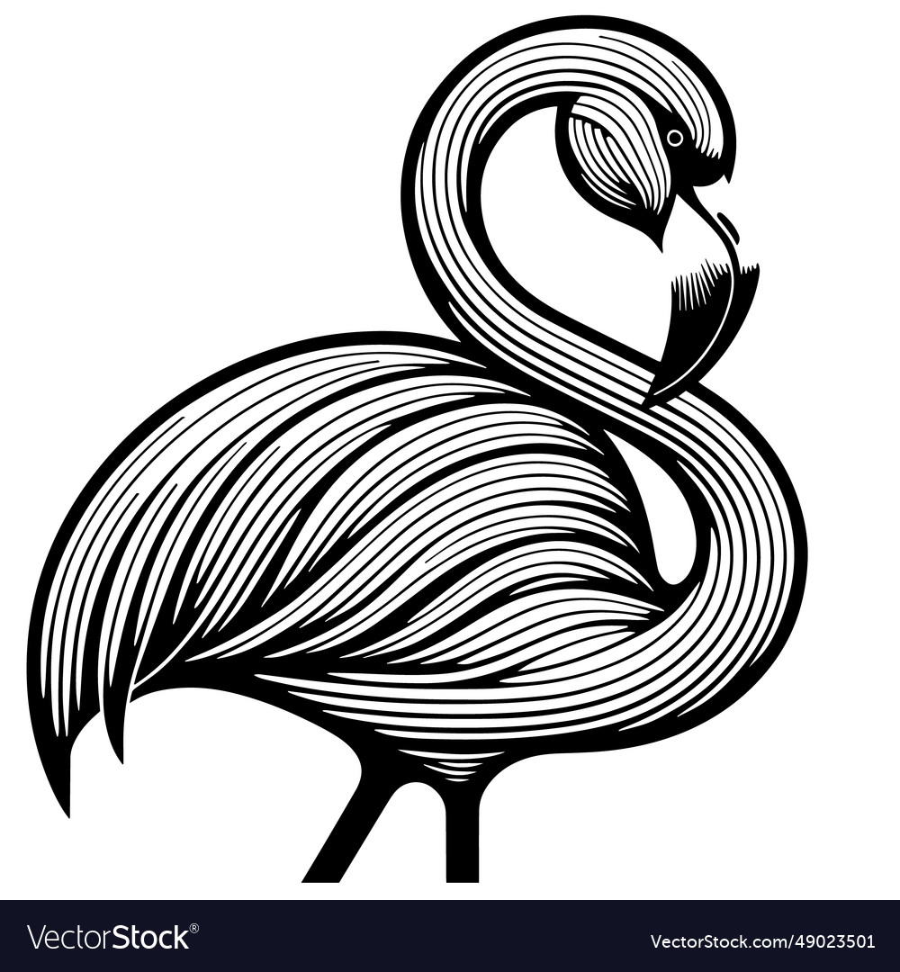 Elegant flamingo brilliance Royalty Free Vector Image