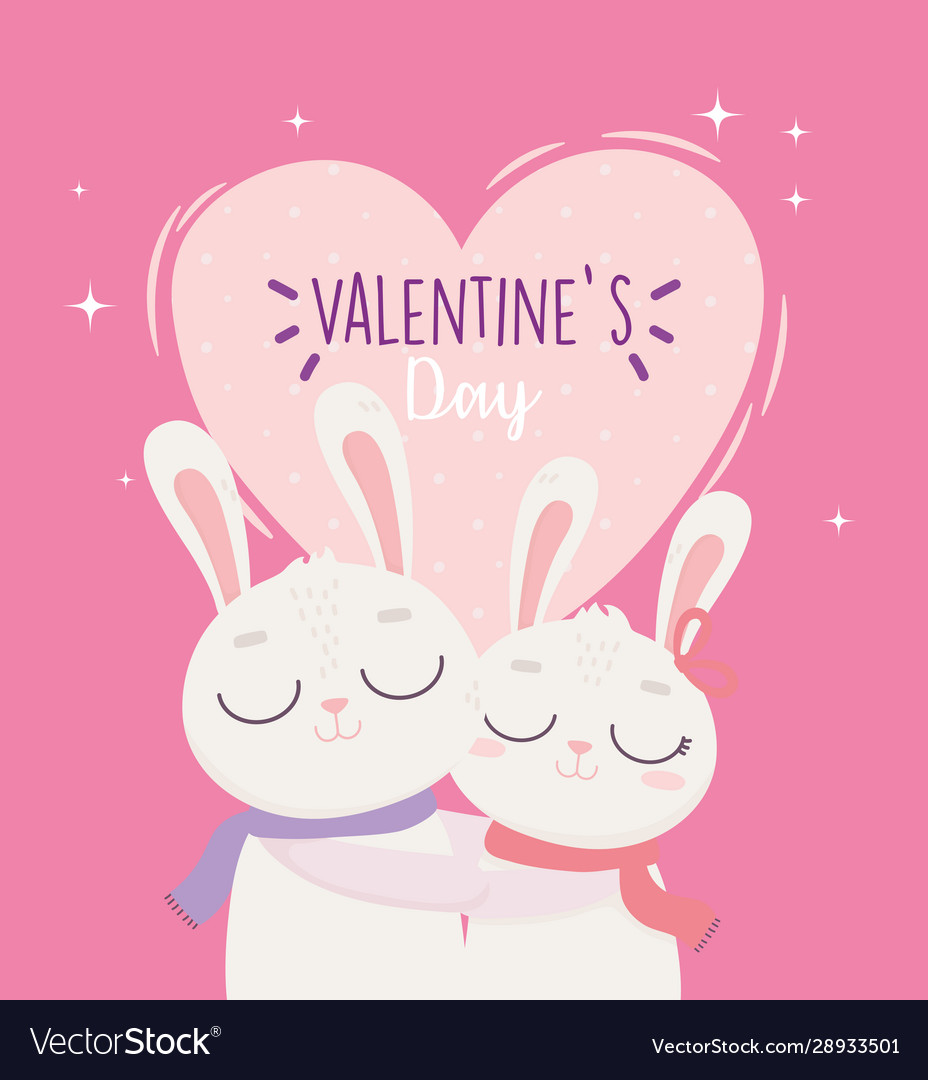 Happy valentines day cute bunny couple hugging Vector Image