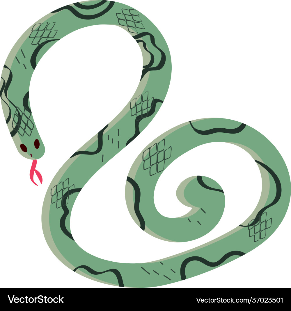 Snake hand drawn Royalty Free Vector Image - VectorStock