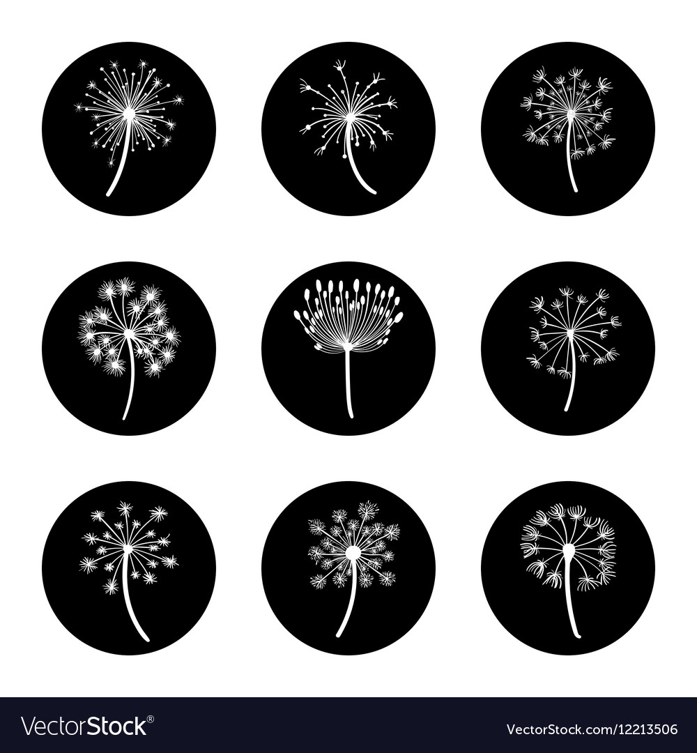 Black and white dandelion icon set Royalty Free Vector Image