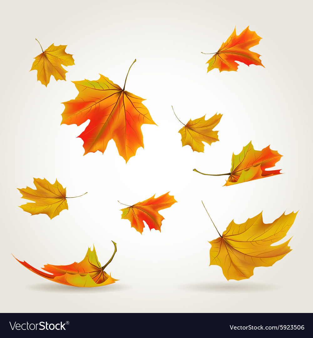 Falling leaves Royalty Free Vector Image - VectorStock