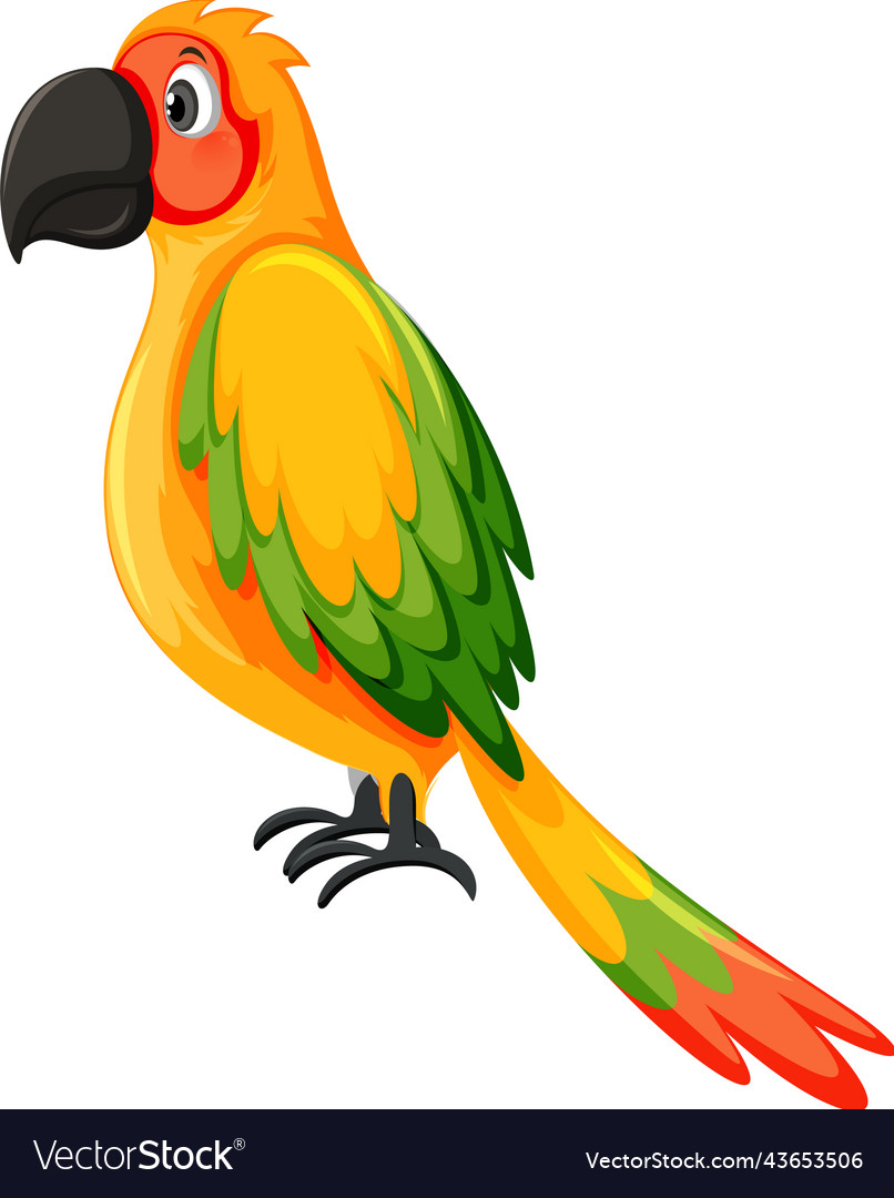 Parrot bird in cartoon style Royalty Free Vector Image