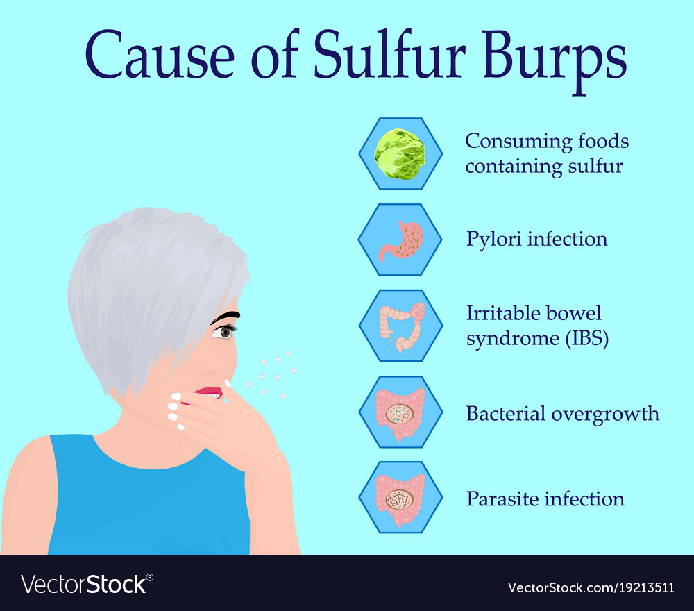 Causes Sulfur Burps Royalty Free Vector Image VectorStock