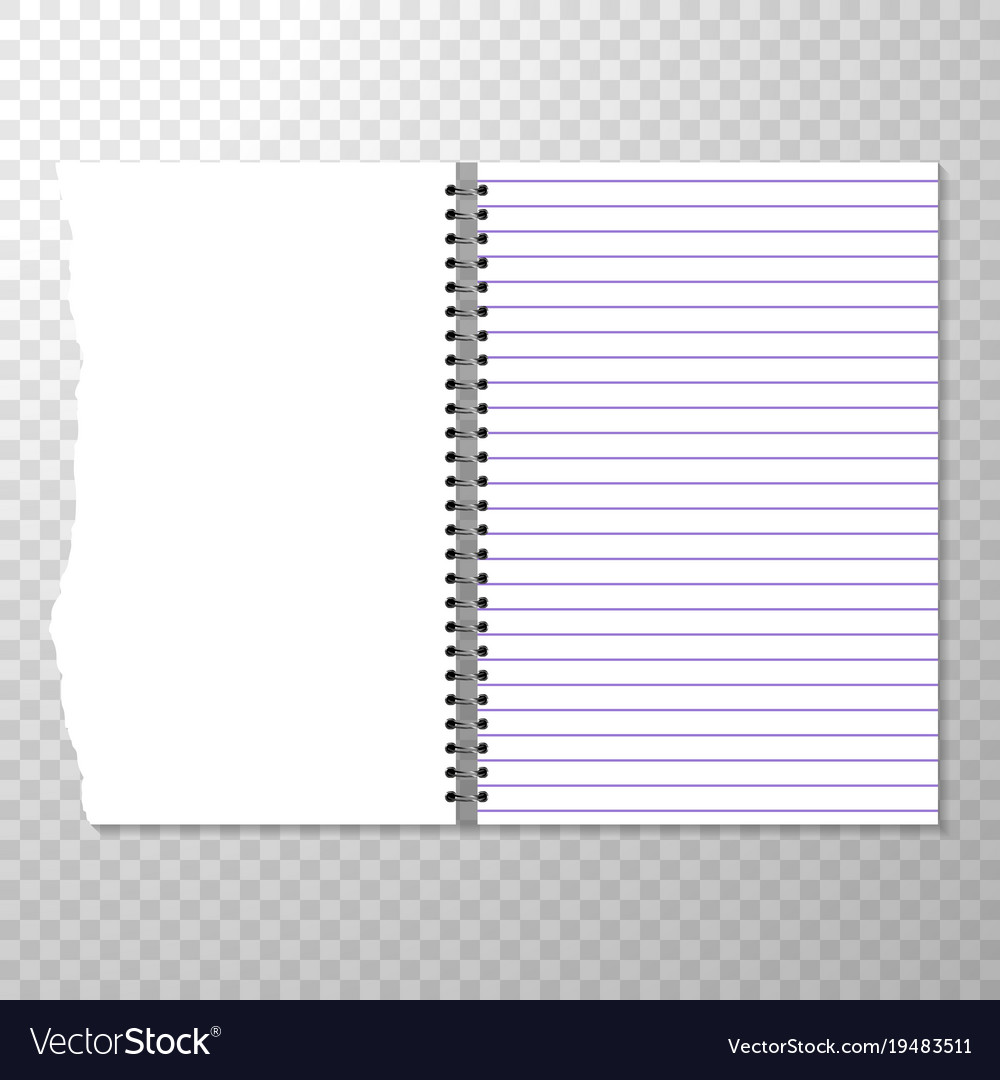 Blank notebook page sheet. Lined vector empty notebook page with grey and  red lines. Stock Vector