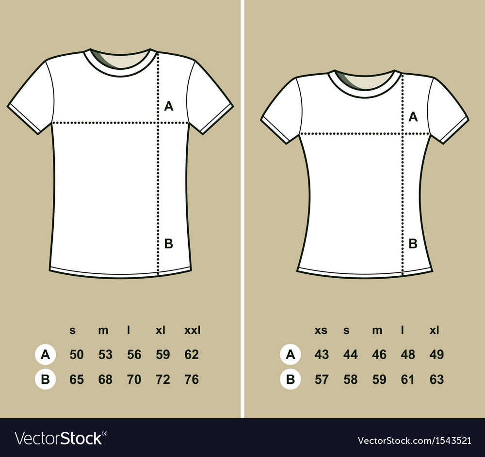 T shirt Sizes Royalty Free Vector Image VectorStock
