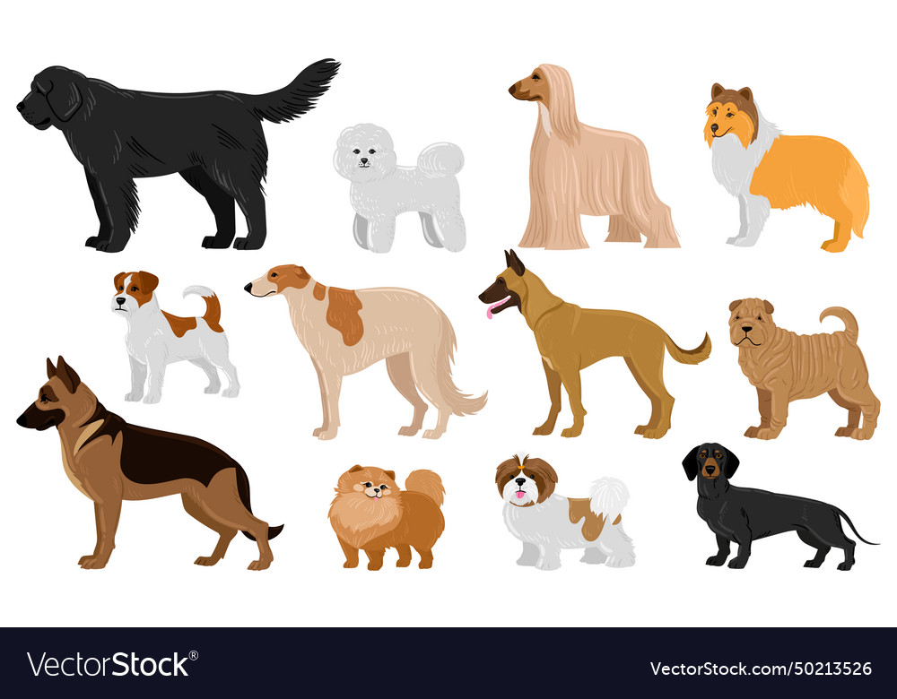 Cartoon puppy dogs breeds pets cute characters Vector Image