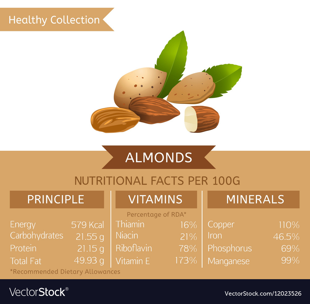 Healthy Collection Image Royalty Free Vector Image