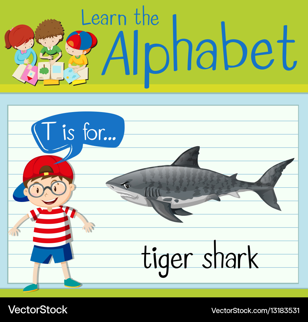 Flashcard letter t is for tiger shark Royalty Free Vector