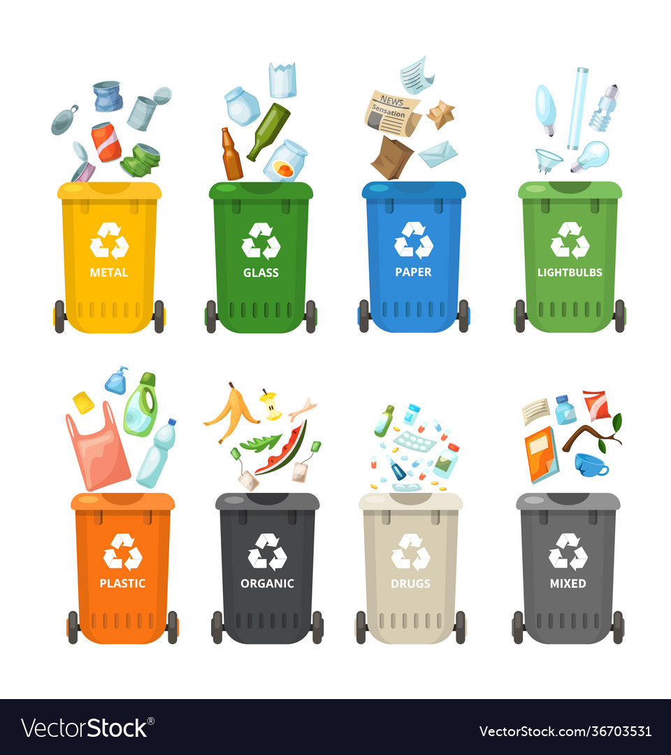 Trash in garbage cans with sorted garbage for Vector Image