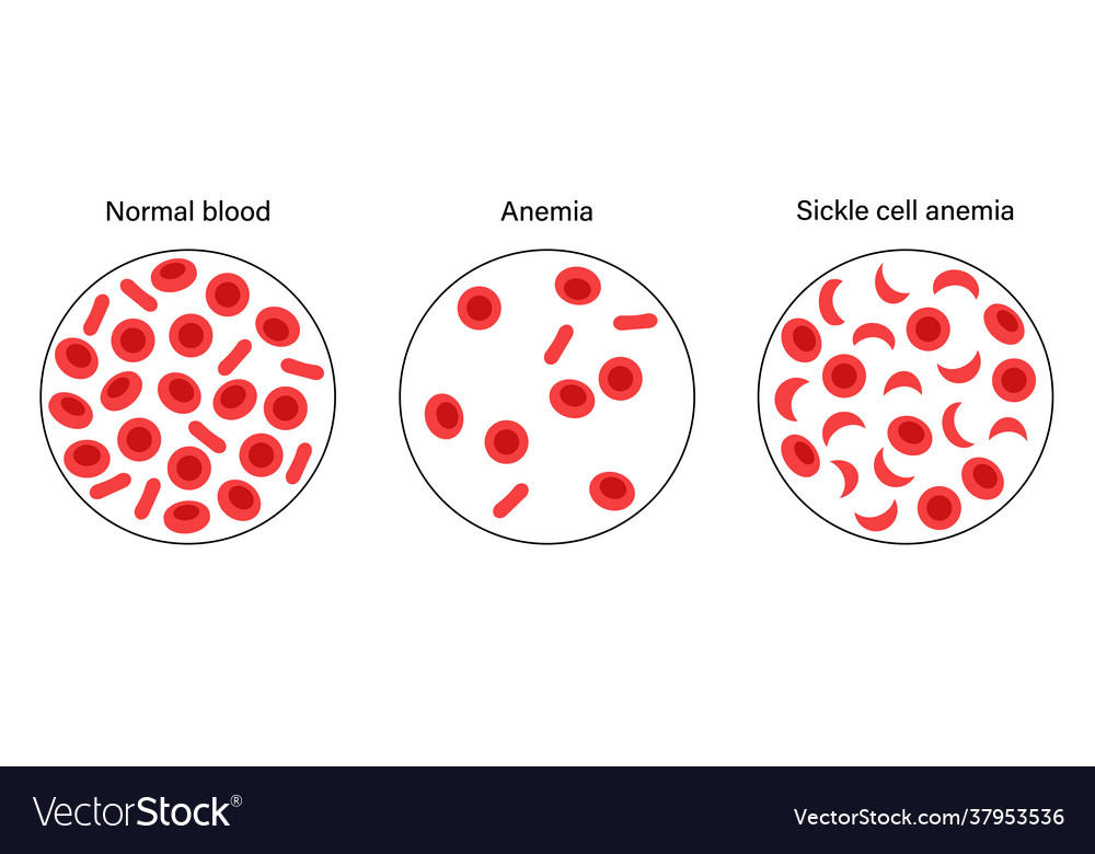 Blood structure concept