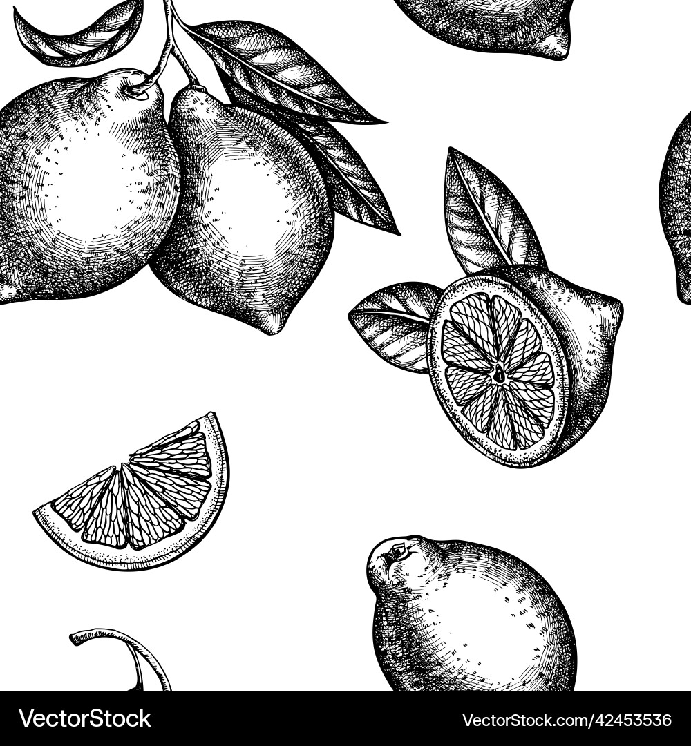 Citrus seamless pattern background design Vector Image