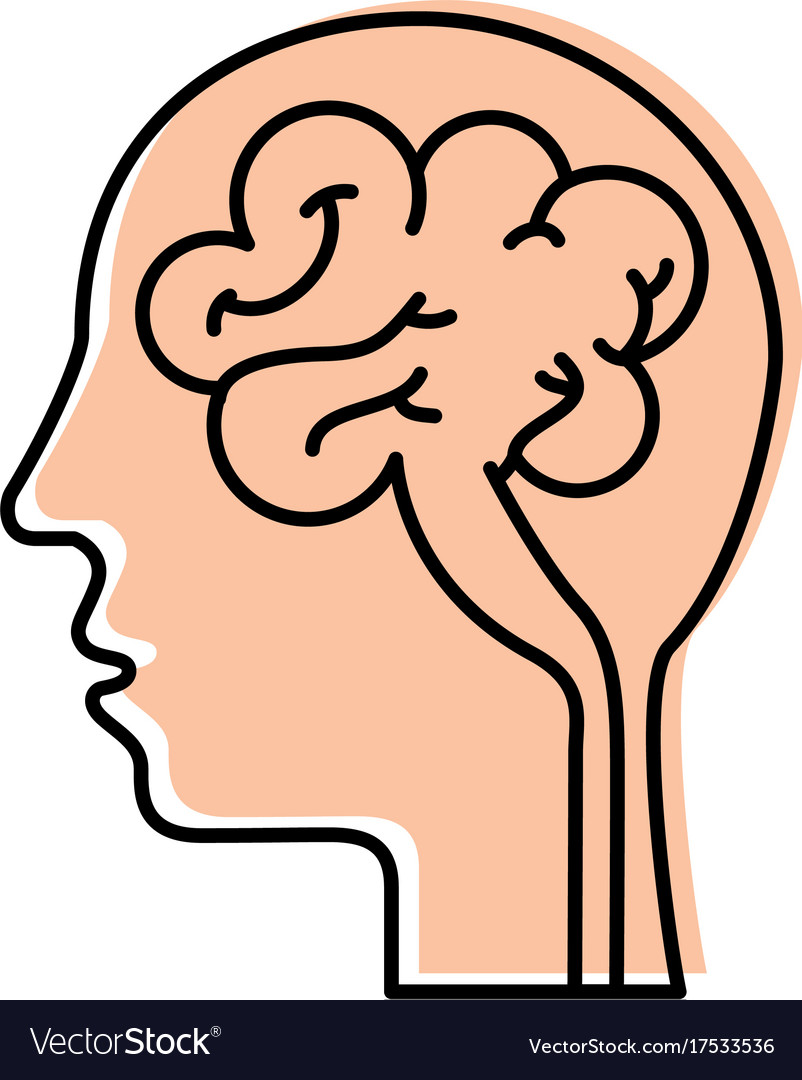 Human head and brain icon mind concept Royalty Free Vector