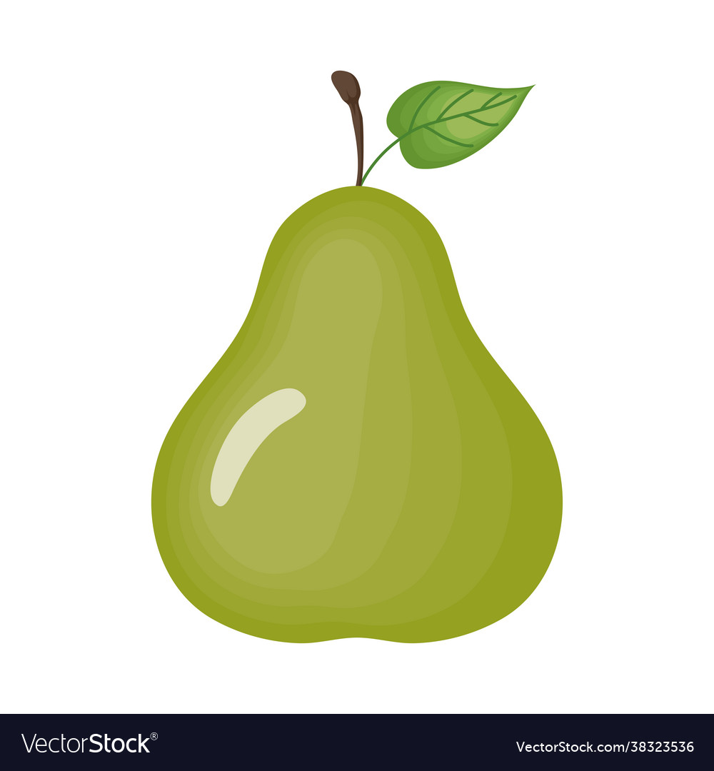 Isolated pear fruit Royalty Free Vector Image - VectorStock