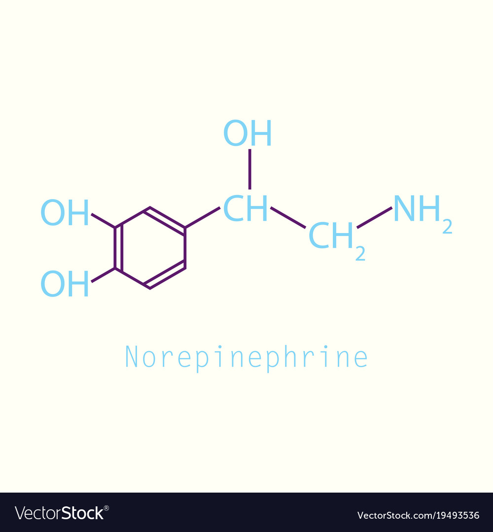 Norepinephrine noradrenaline norepi hormone and Vector Image