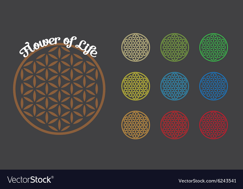 Flower of life