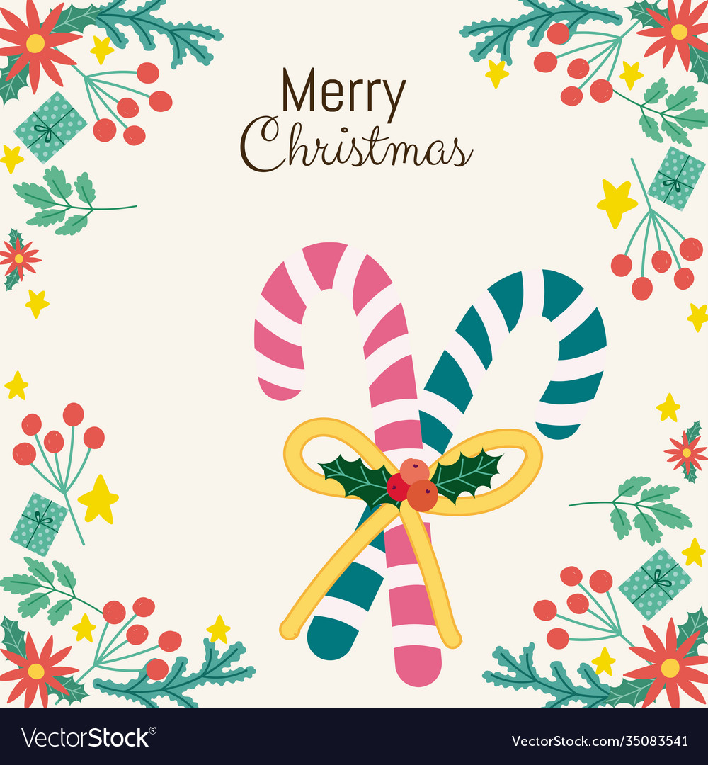 Merry Christmas Greeting Card Candy Canes Vector Image