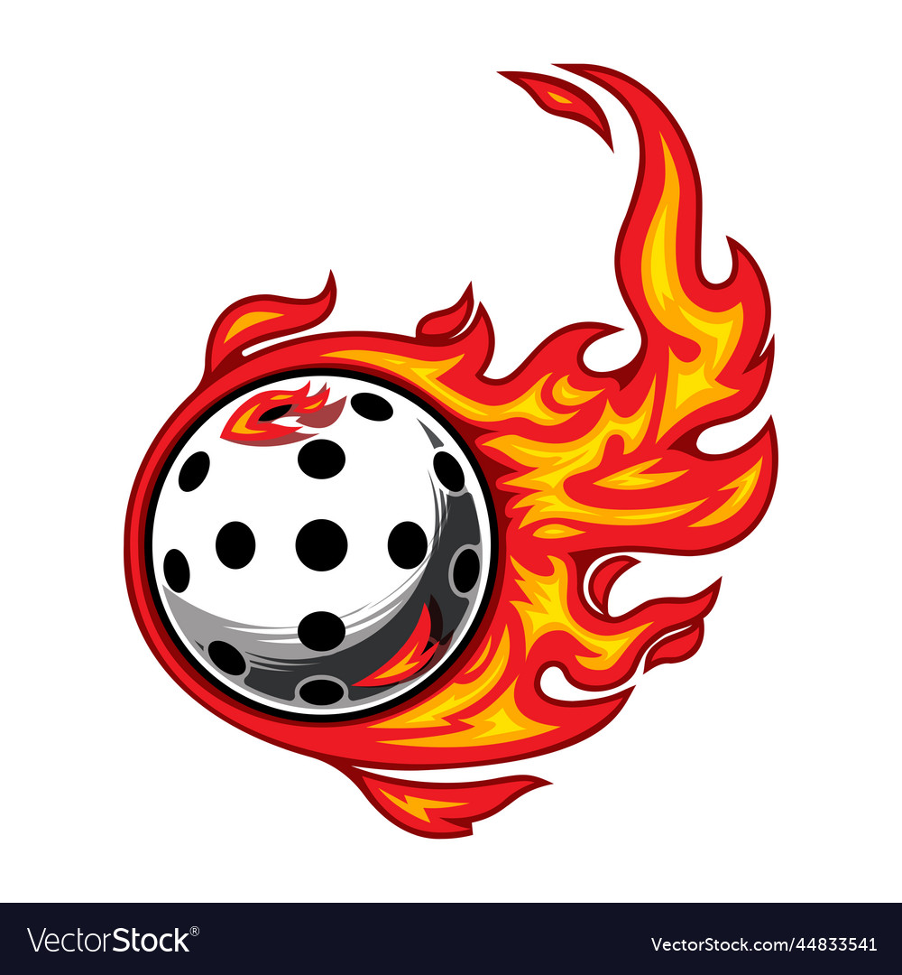 Pickleball on fire Royalty Free Vector Image VectorStock