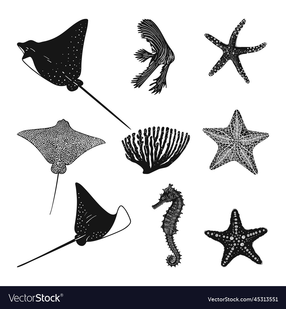 Set of monochrome marine animals