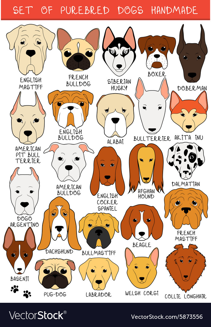 Set of 24 colored dogs different breeds handmade