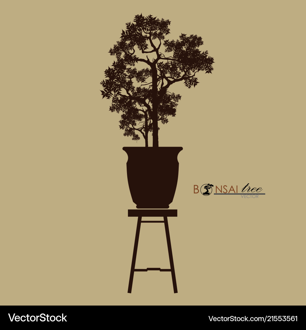 Bonsai tree japanese and chinese trees Royalty Free Vector