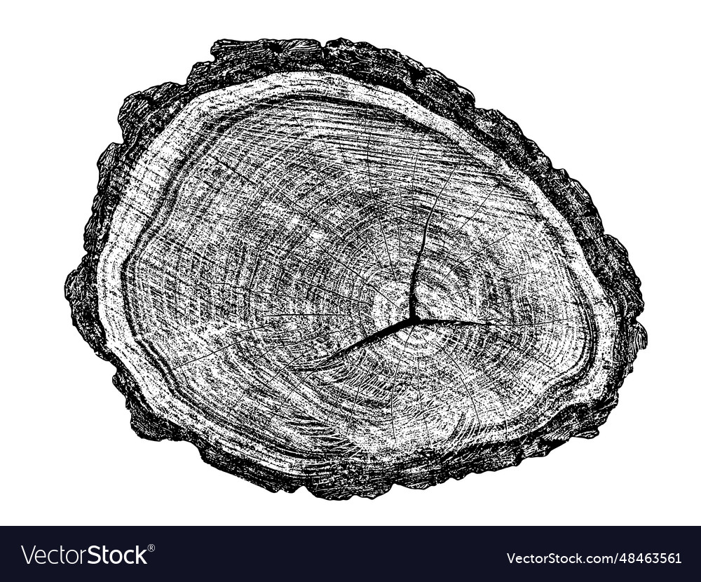 Distressed Wood Texture Royalty Free Vector Image