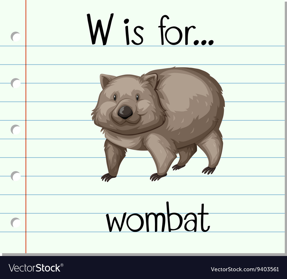 Flashcard letter w is for wombat Royalty Free Vector Image