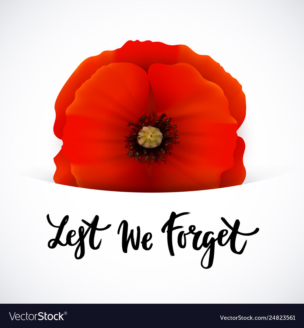 Remembrance day poster design Royalty Free Vector Image