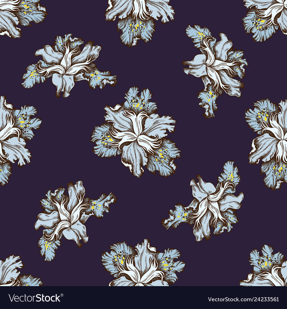 Seamless pattern with hand drawn colored iris