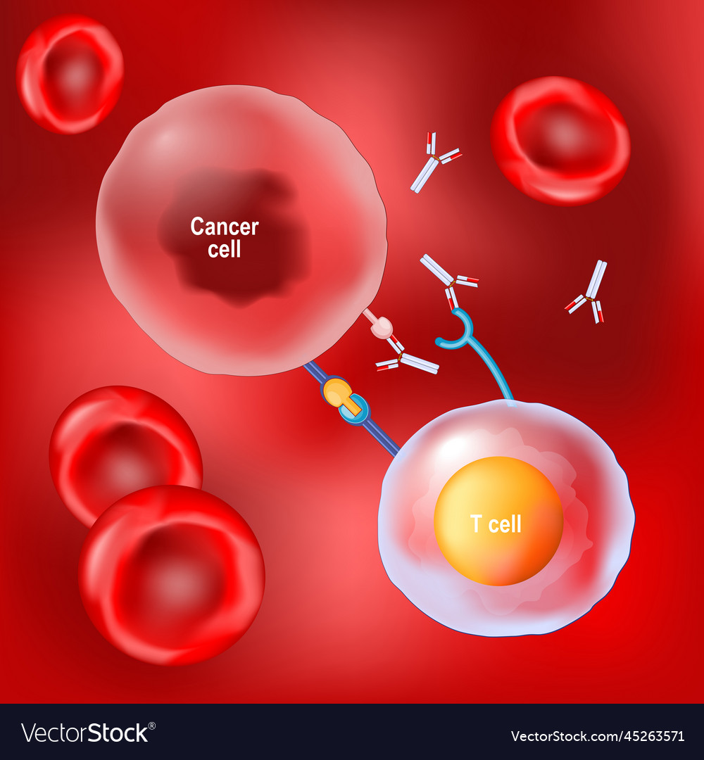 Cancer therapy and monoclonal antibodies