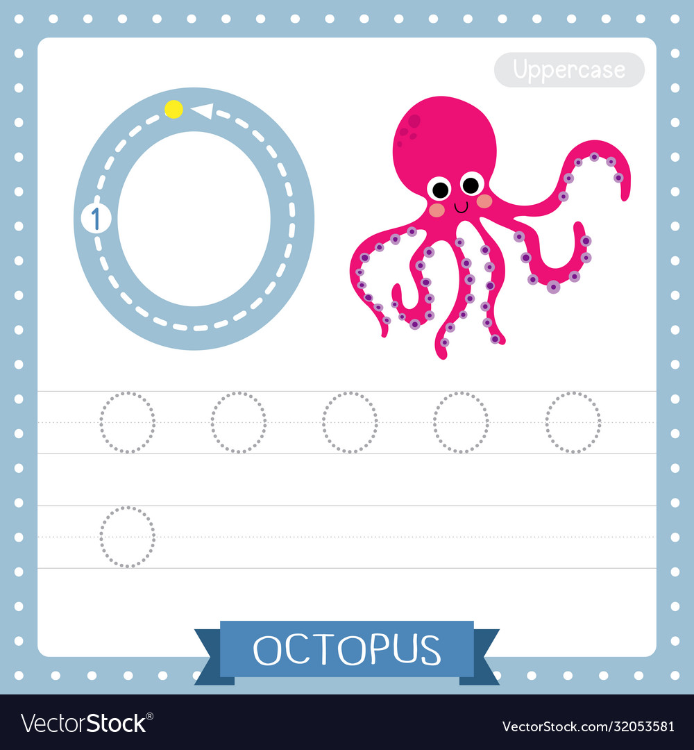 letter o uppercase tracing practice worksheet vector image
