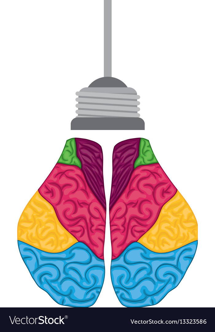 Bulb idea and human brain