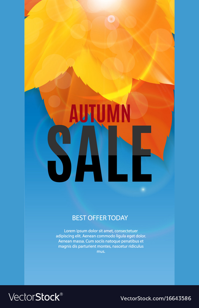 Shiny autumn leaves sale banner business discount Vector Image