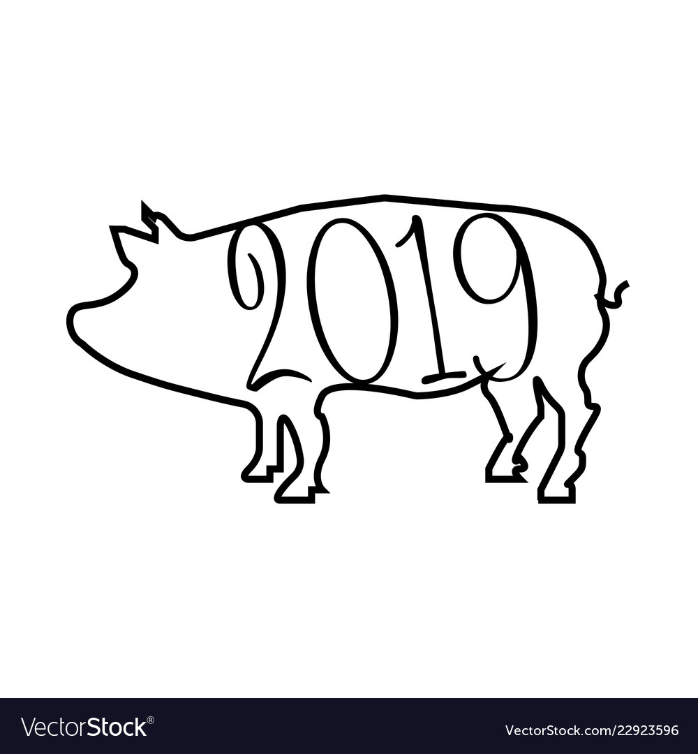 2019 year of pig