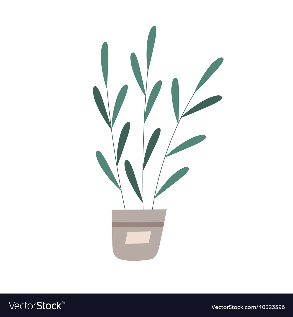 Green houseplant growing in pot