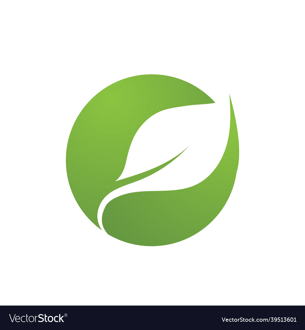 Leaf green plant logo fresh Royalty Free Vector Image