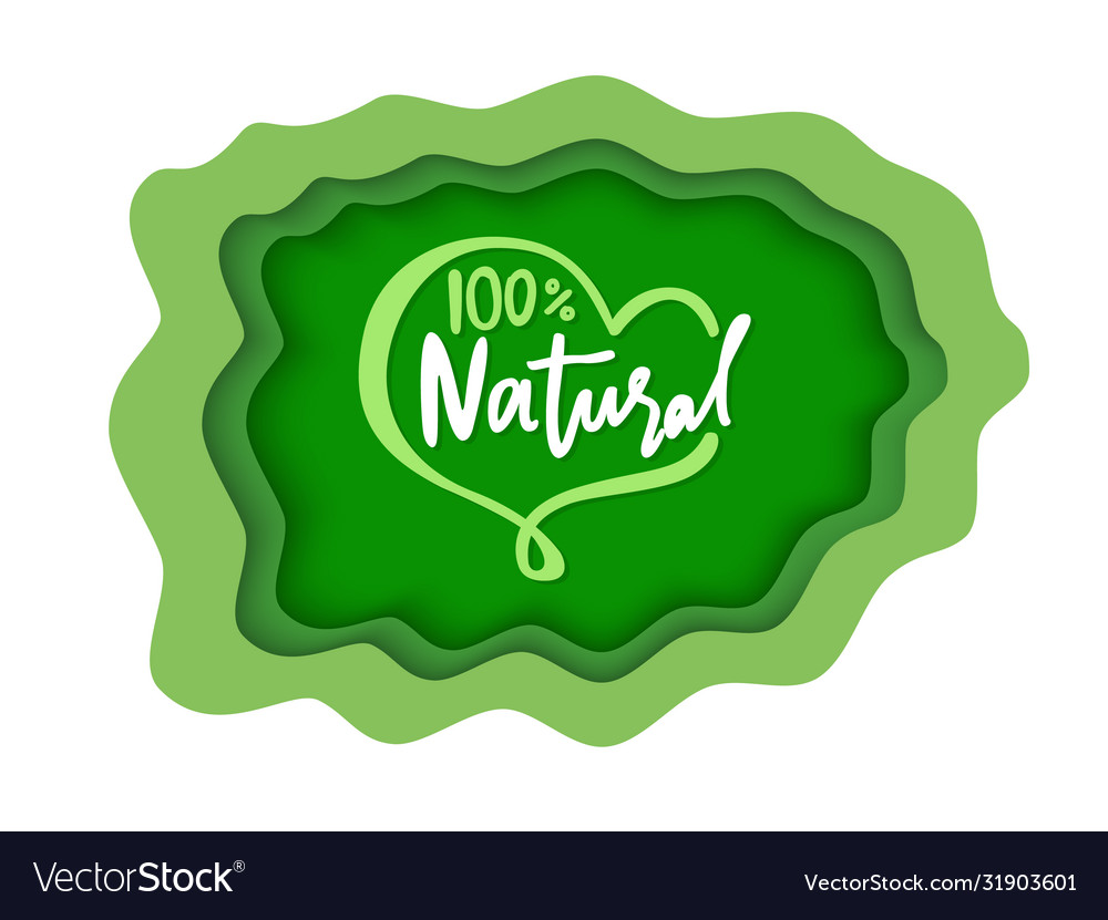 Natural food logotypes with plant leaves flora