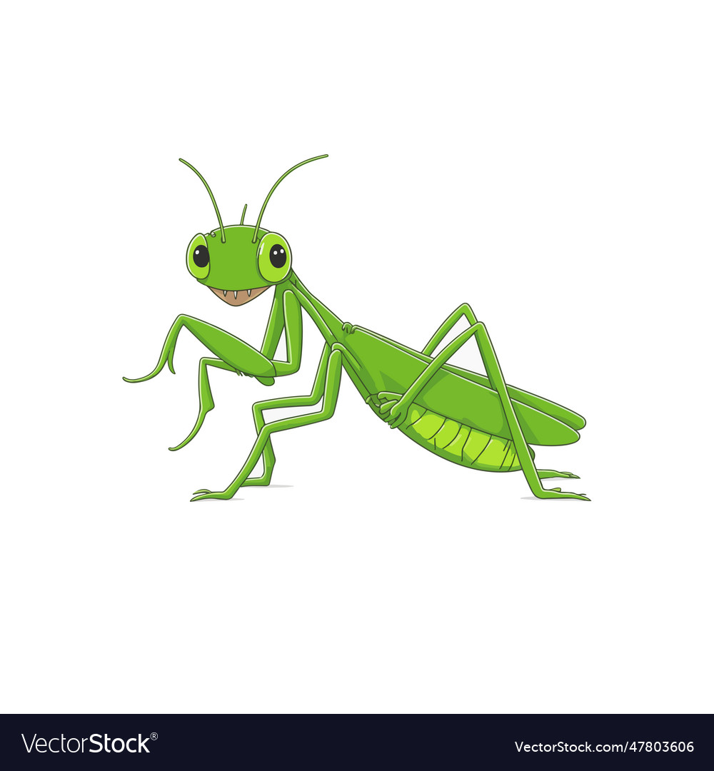 Cute grasshopper cartoon isolated on white Vector Image