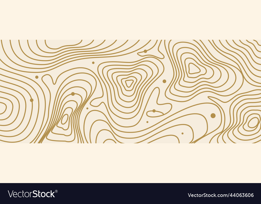 Topographic map contour in line and contour Vector Image