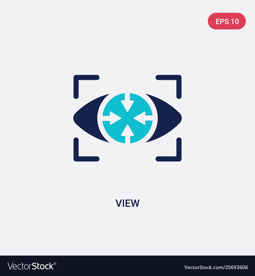 Two color view icon from big data concept Vector Image