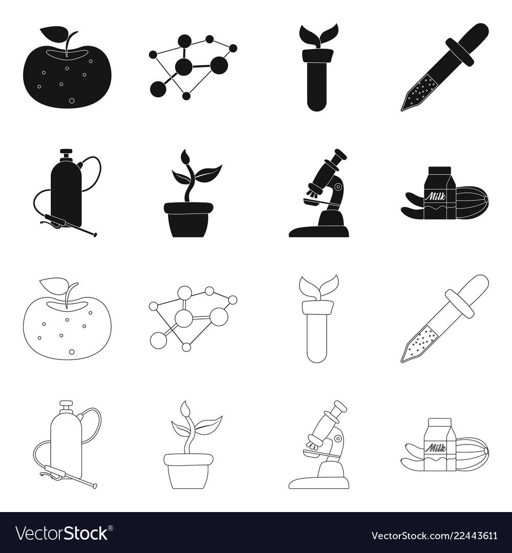 Isolated object of and symbol set s Royalty Free Vector