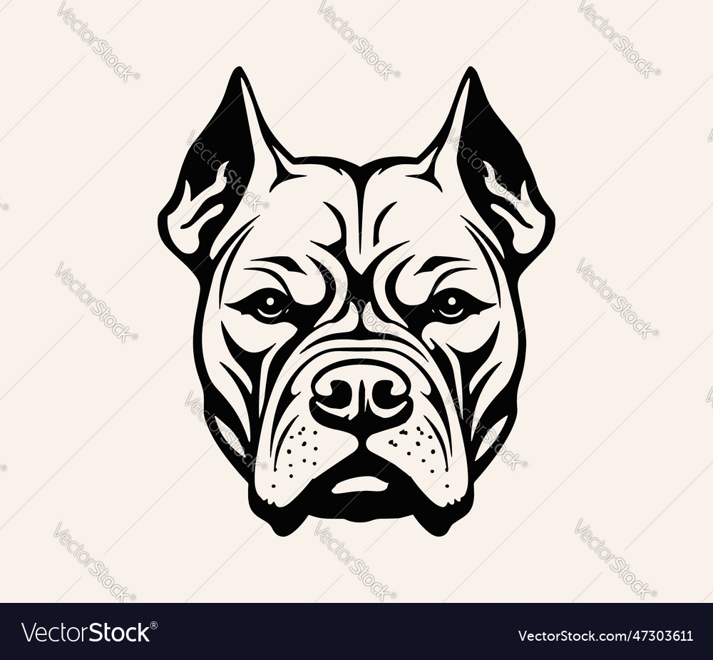 Pitbull dog head bulldog cool pit bull dude Vector Image