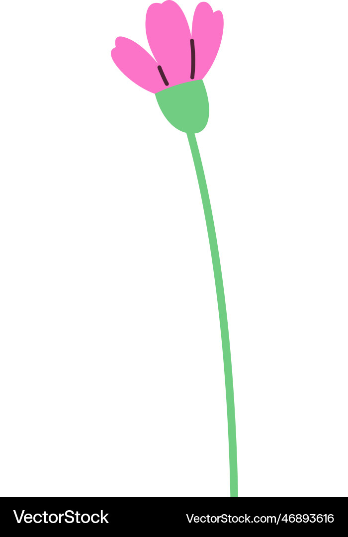 Flower on stem Royalty Free Vector Image - VectorStock