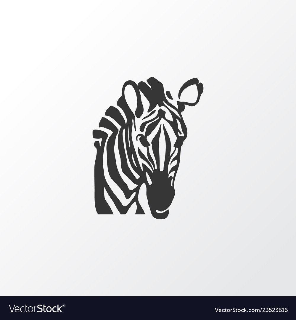 Zebra icon symbol premium quality isolated horse