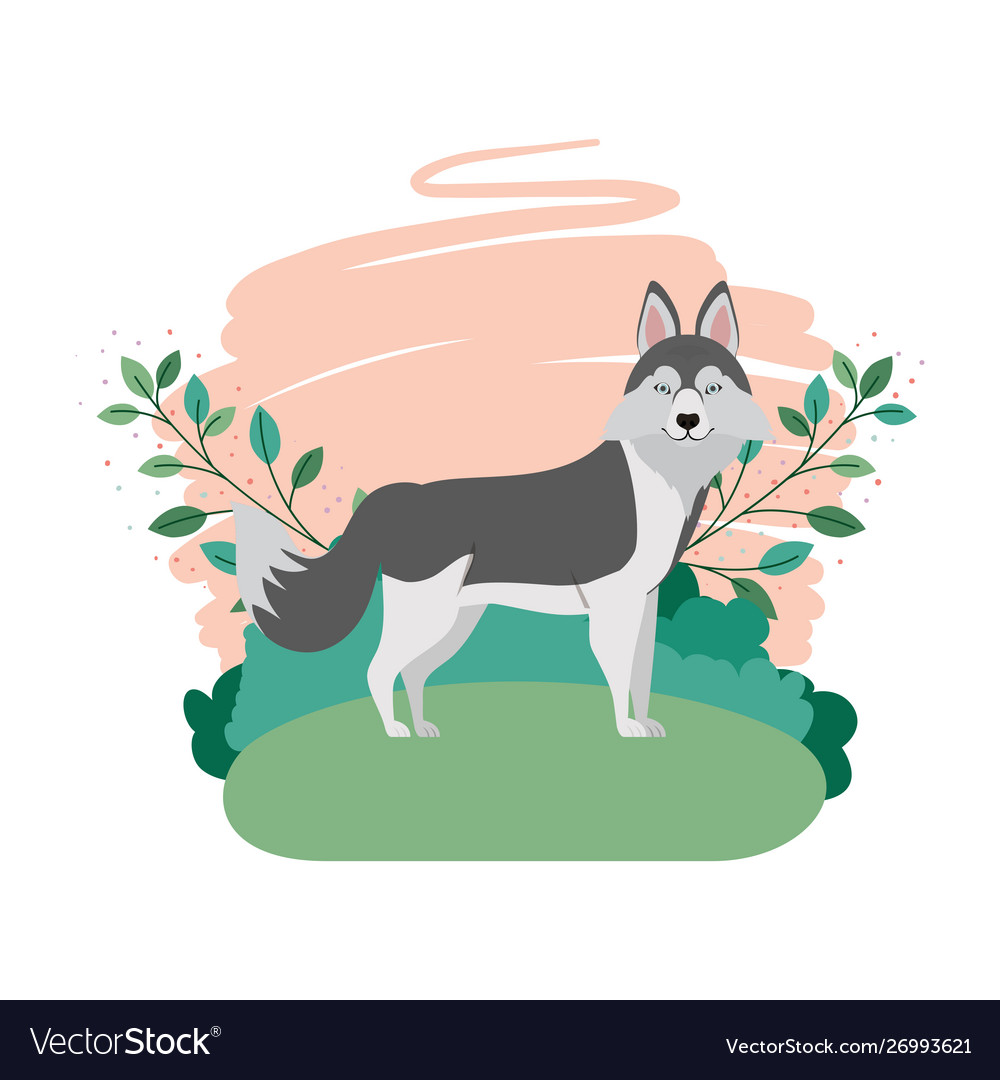 Cute lobo siberiano dog with background landscape