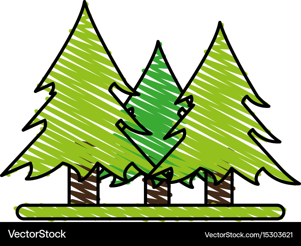 Wonderful trees forest Royalty Free Vector Image