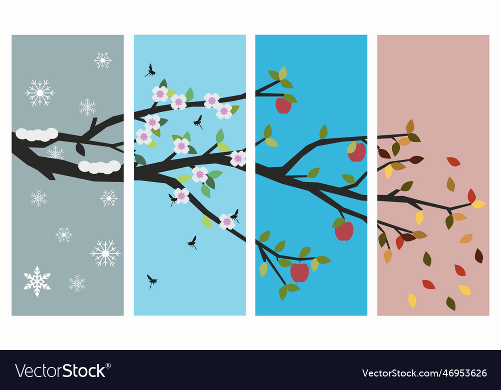 Apple tree branch parallel to the four seasons Vector Image