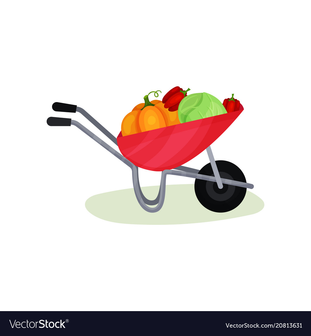 Natural vegetables in red wheelbarrow pumpkin