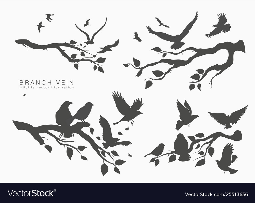 Figure flock flying birds on tree branch vector image Figure flock flying birds on tree branch