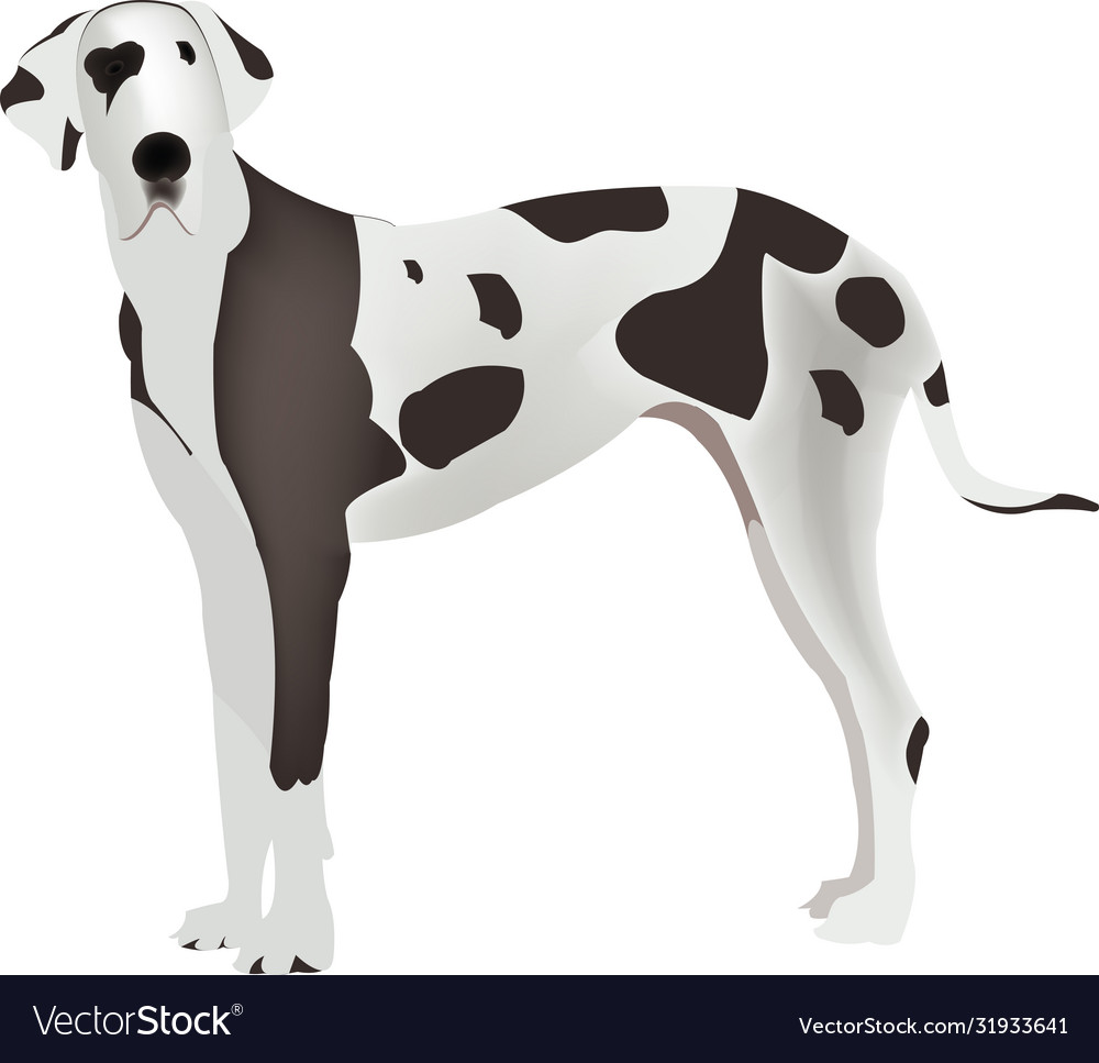 Dog great size Royalty Free Vector Image - VectorStock