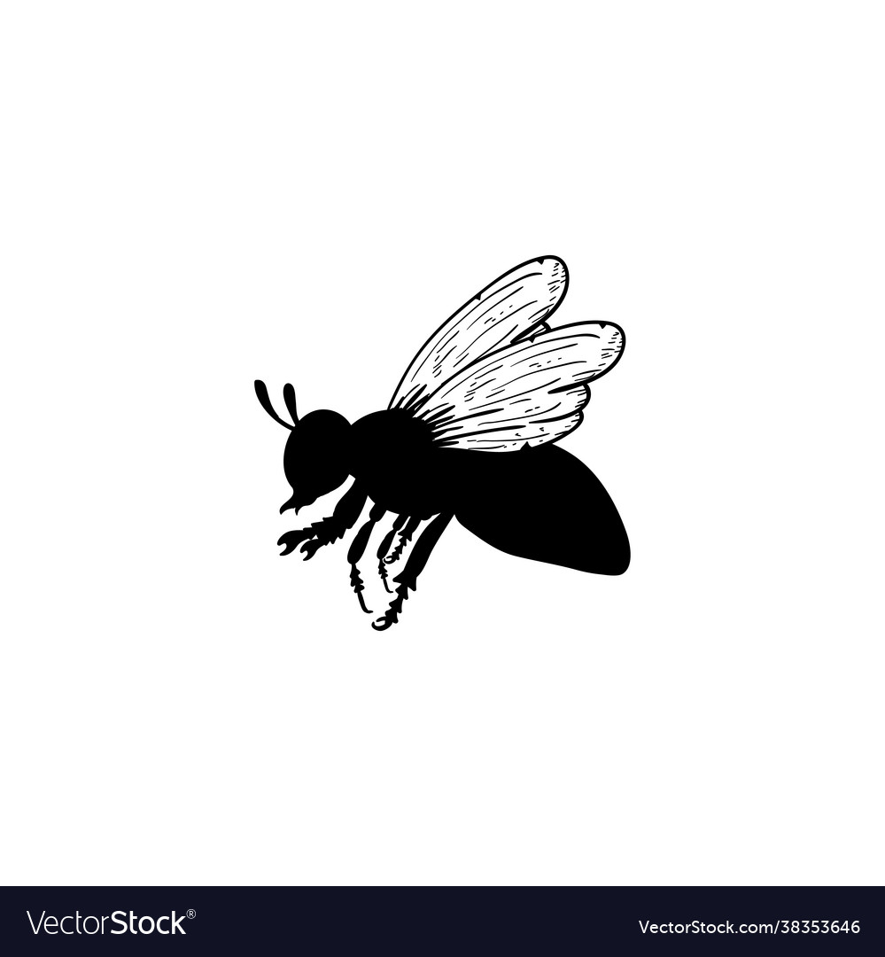 Bee Icon Design Template Isolated Royalty Free Vector Image